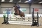 Abi Kerry Speeds to Victory in the STX-UK Pony British Novice Second Round Competition at Forest Edge.
